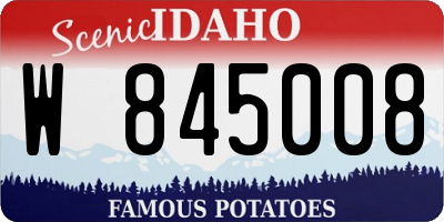 ID license plate W845008