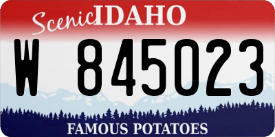 ID license plate W845023