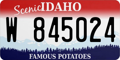 ID license plate W845024