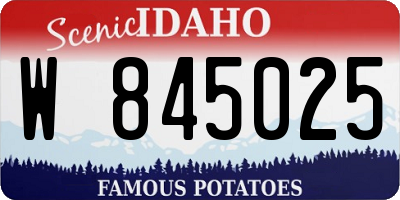ID license plate W845025
