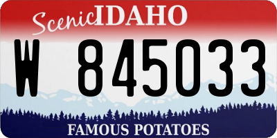ID license plate W845033