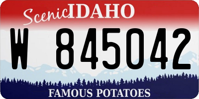 ID license plate W845042