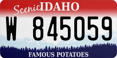 ID license plate W845059