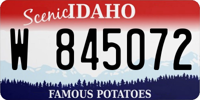 ID license plate W845072