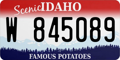 ID license plate W845089