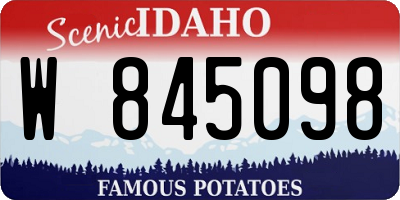 ID license plate W845098