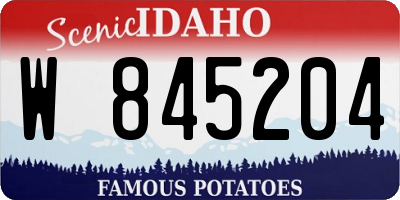 ID license plate W845204