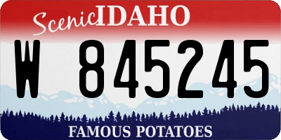 ID license plate W845245