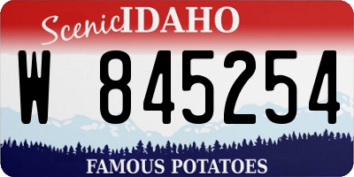 ID license plate W845254