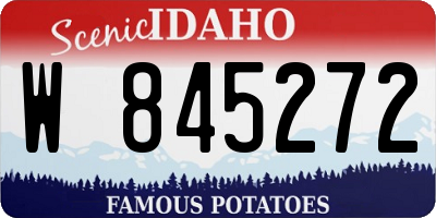 ID license plate W845272