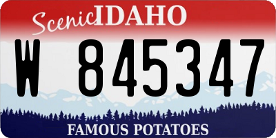 ID license plate W845347