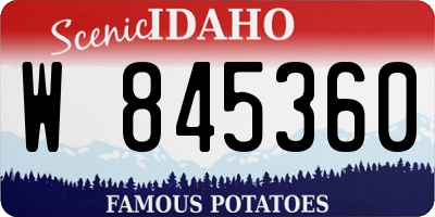 ID license plate W845360