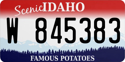 ID license plate W845383