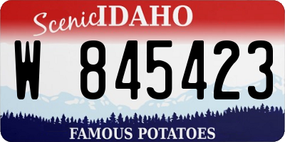 ID license plate W845423