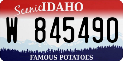 ID license plate W845490