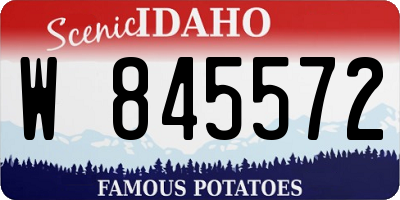 ID license plate W845572