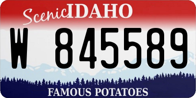 ID license plate W845589