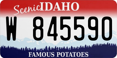 ID license plate W845590
