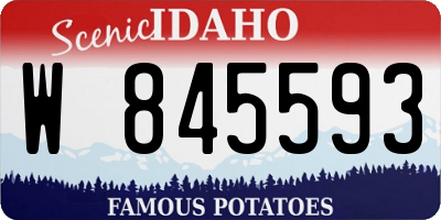 ID license plate W845593