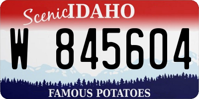 ID license plate W845604