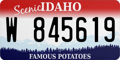 ID license plate W845619
