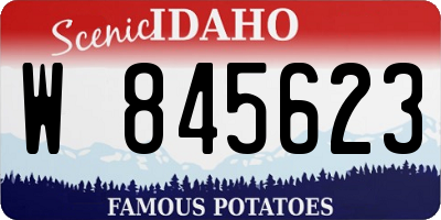 ID license plate W845623