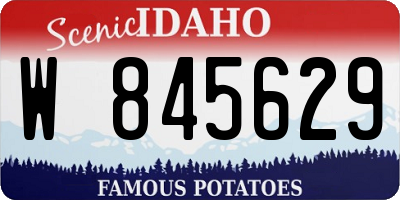 ID license plate W845629