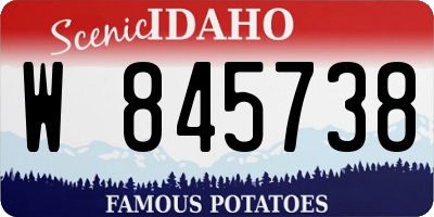 ID license plate W845738