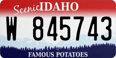 ID license plate W845743