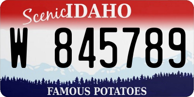 ID license plate W845789
