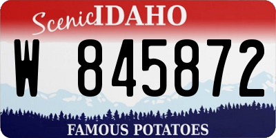 ID license plate W845872
