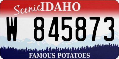 ID license plate W845873