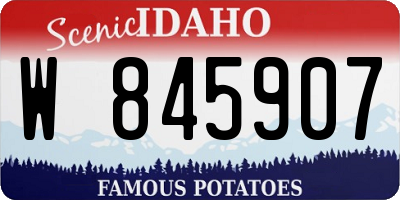 ID license plate W845907