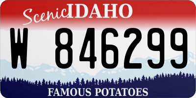 ID license plate W846299