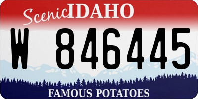 ID license plate W846445