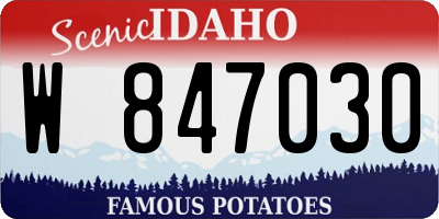 ID license plate W847030