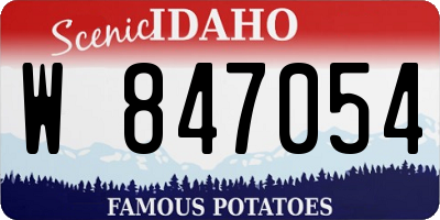 ID license plate W847054