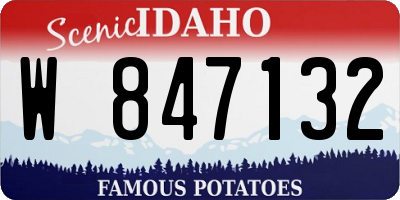 ID license plate W847132