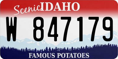 ID license plate W847179