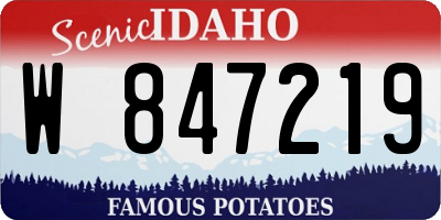 ID license plate W847219