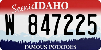 ID license plate W847225