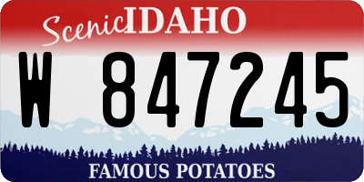 ID license plate W847245