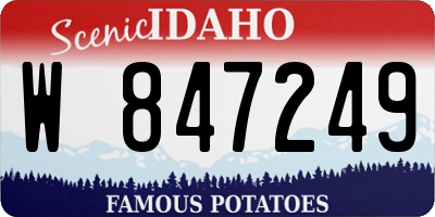 ID license plate W847249