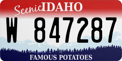 ID license plate W847287