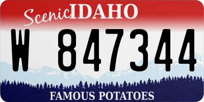 ID license plate W847344