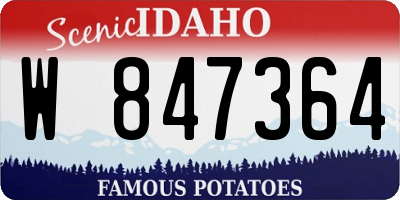 ID license plate W847364