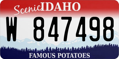 ID license plate W847498