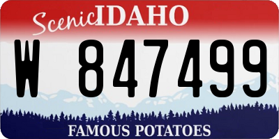 ID license plate W847499