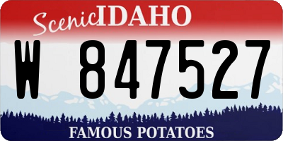 ID license plate W847527