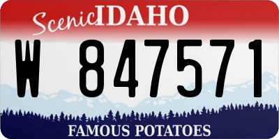 ID license plate W847571